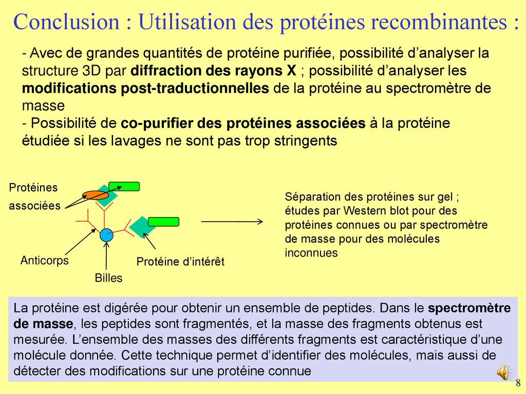 2 Purification des protéines ppt télécharger